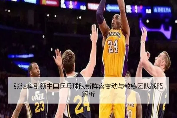 张继科引领中国乒乓球队新阵容变动与教练团队战略解析